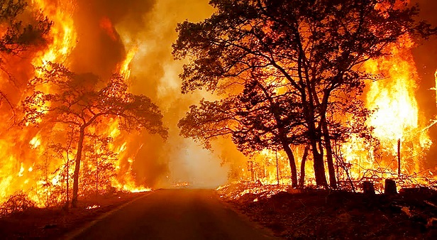 Incendio Forestal 5 Moncloa