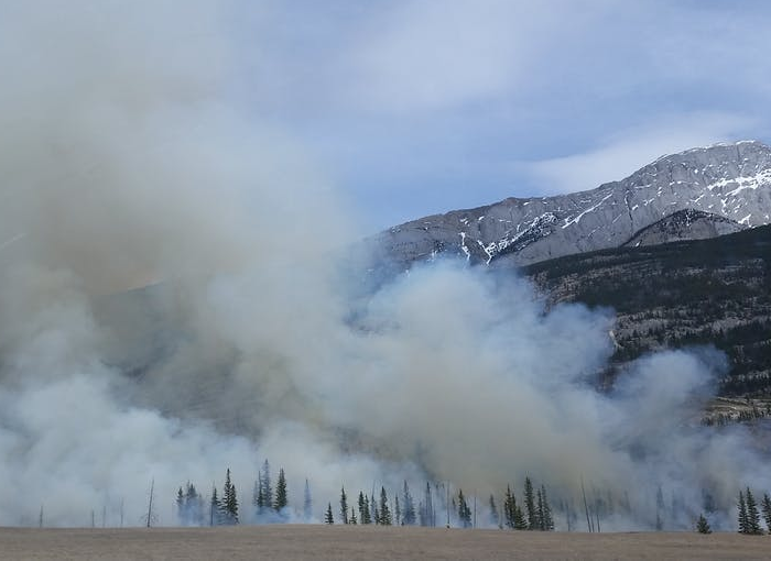 Detenido el autor de 14 incendios forestales en Siera de Gata