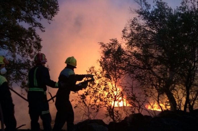 bomberos forestales