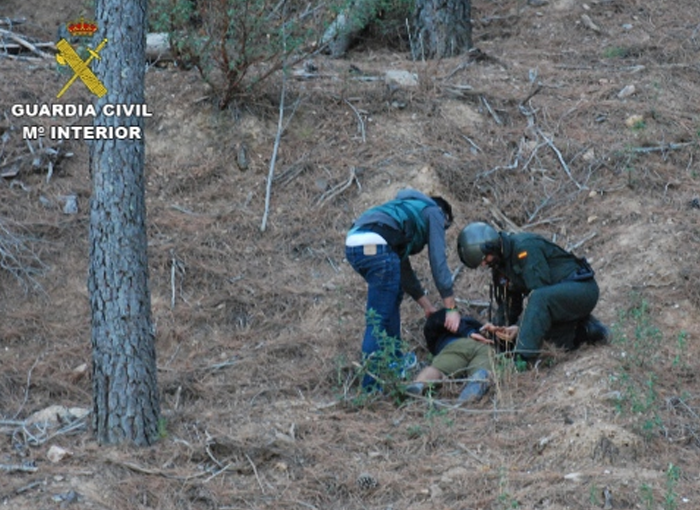 La plantación de marihuana del Parque Natural de la Sierra de Norte de Guadalajara estaba atendida y vigilada las 24 horas