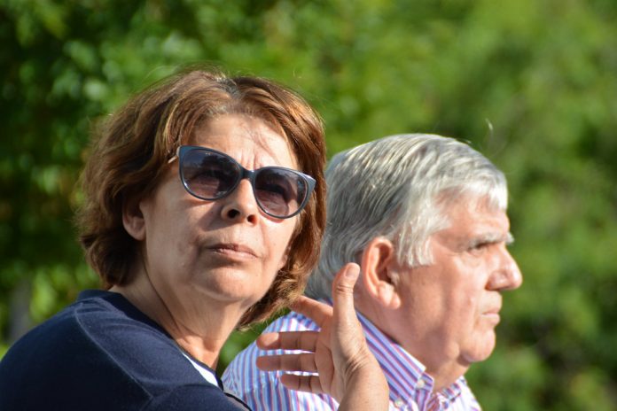 Sabanés