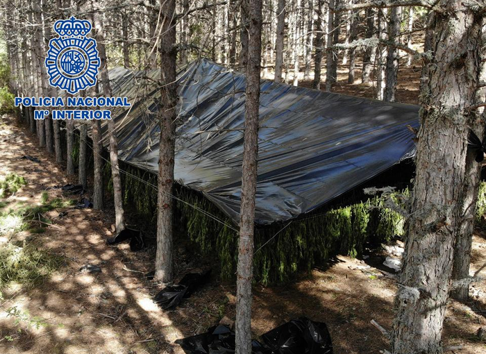 La Policía Nacional desarticula un grupo dedicado al cultivo de mairhuana en el Parque Natural Serranía de Cuenca