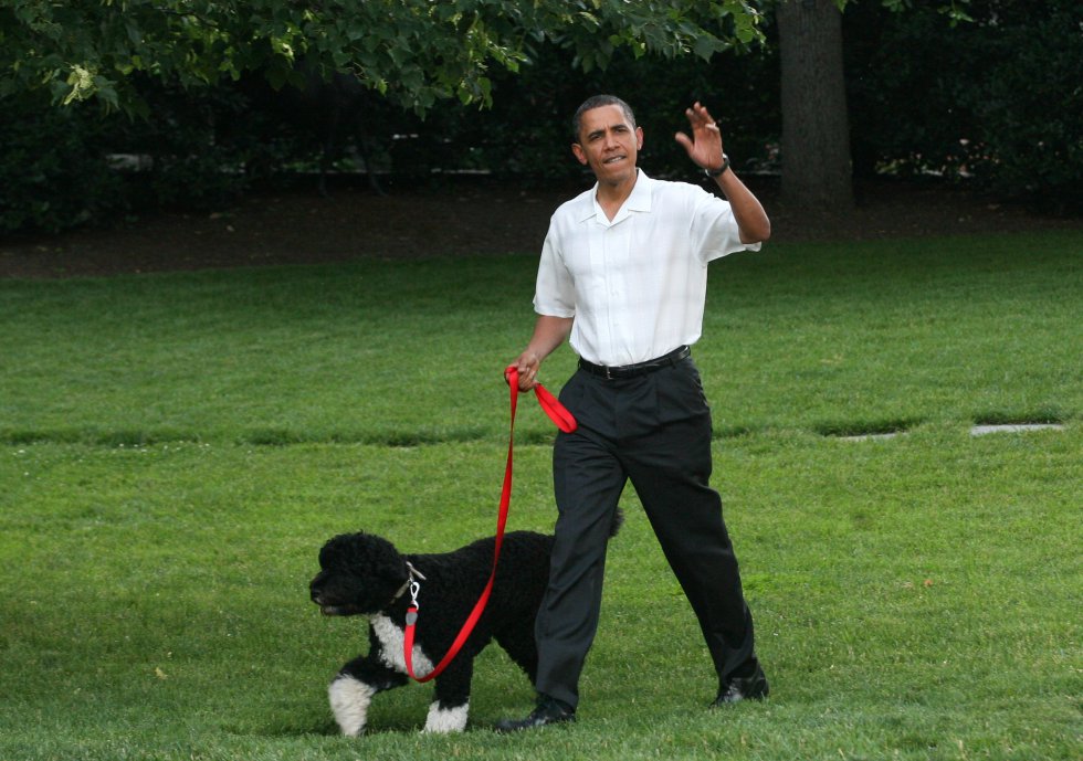 Obama Mascotas