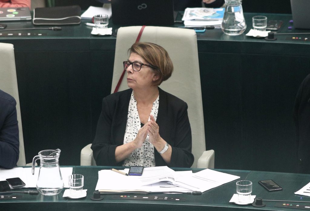 Marta Higueras Más País