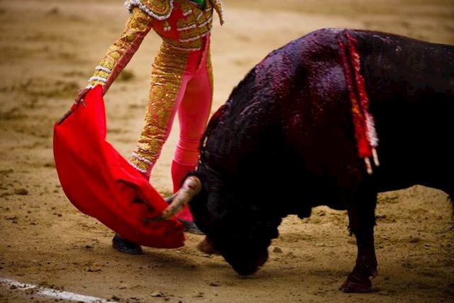 toros