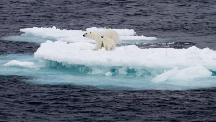 emergencia climática