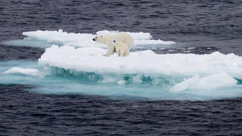 emergencia climática