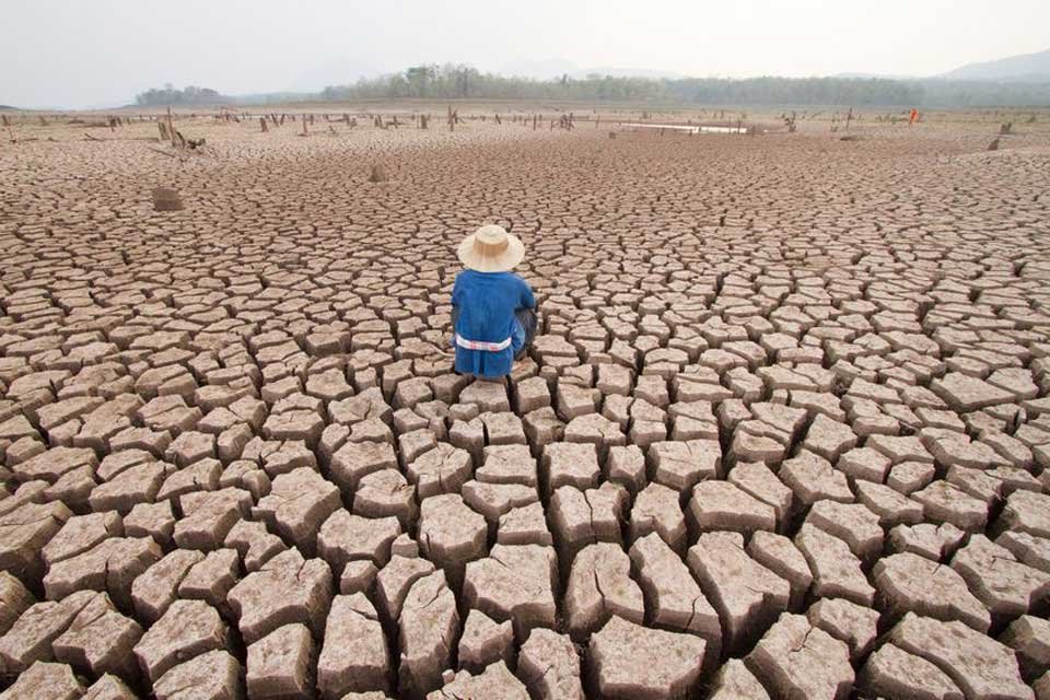 emergencia climática