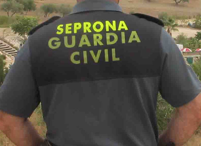 El Seprona de la Guardia Civil desmantela la mayor trama de caza furtiva de la historia de Andalucia