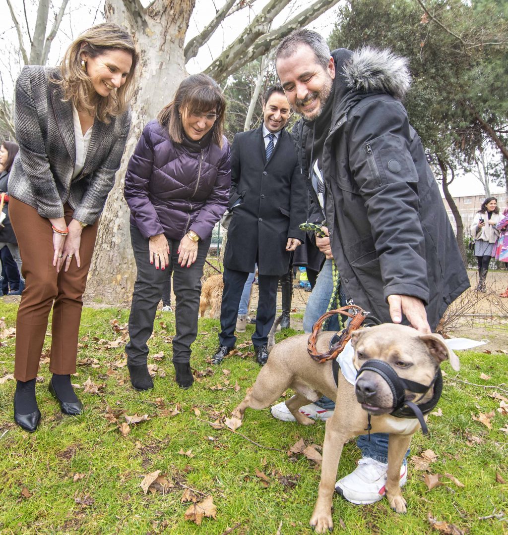 La comisionada de Bienestar Animal de Ayuso reaparece tras su polémica urbanística 1 Moncloa Martin Olsen