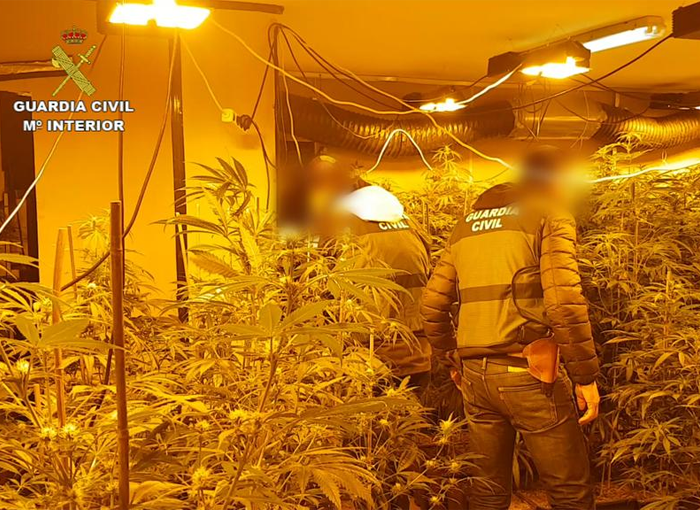 La Guardia Civil desarticula una banda delictiva dedicada a cultivar y modificar genéticamente marihuana
