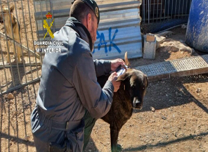La Guardia Civil detiene a la dueña de una protectora de animales