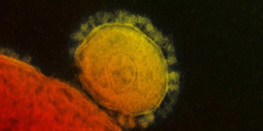 MERS crisis sanitaria