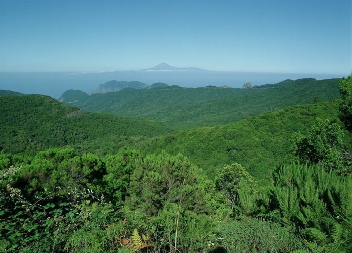 gomera
