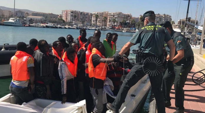 migracion