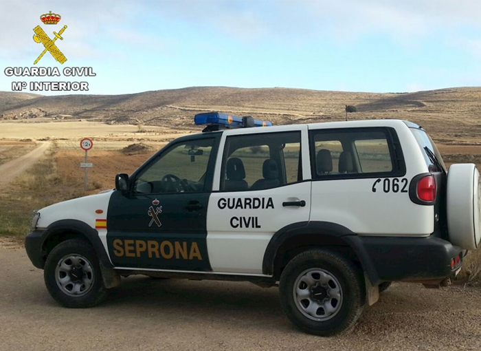 Esclarecida la muerte de un Lince Ibérico relacionada con una acción de caza