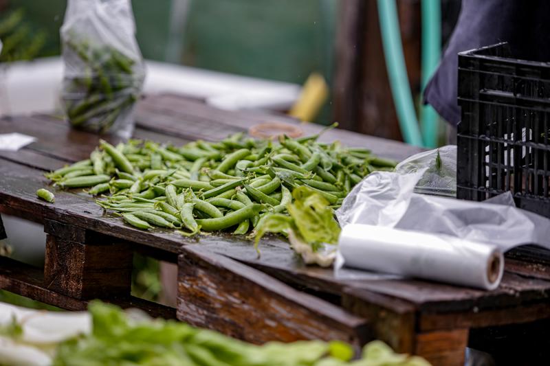 verduras
