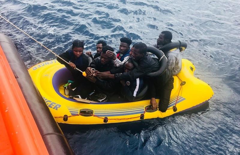 panteras migrantres
