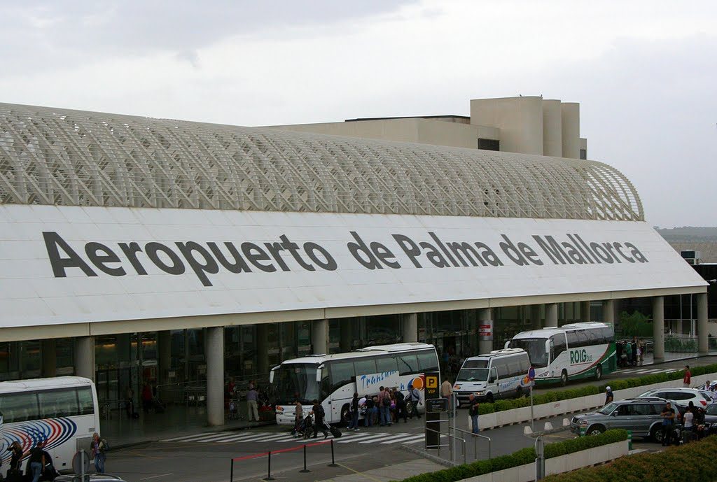Palma