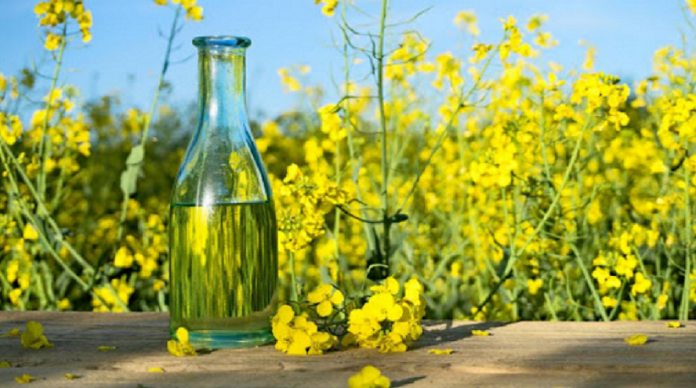 aceite de colza