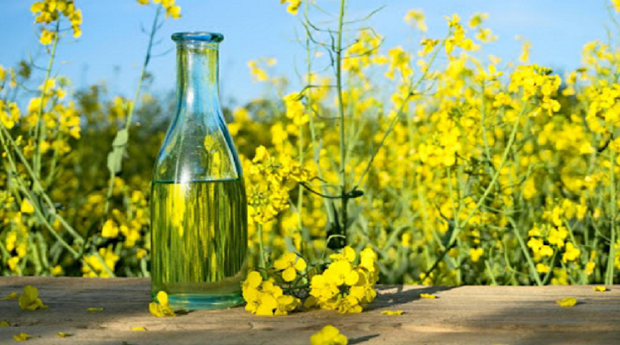 aceite de colza