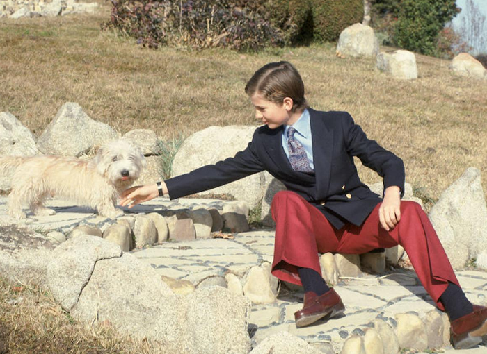 Mascotas de Felipe VI en la Casa Real.