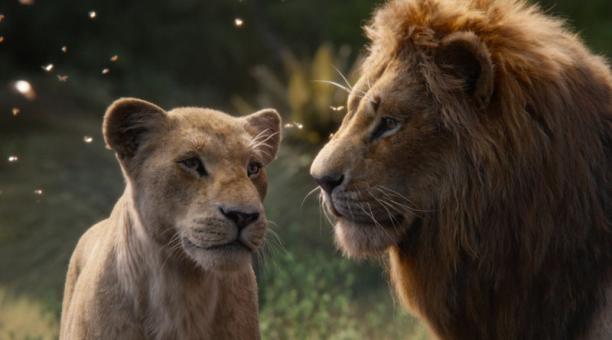 rey leon amazon prime