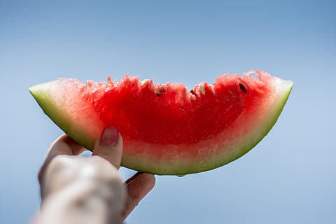 sandia tripa plana