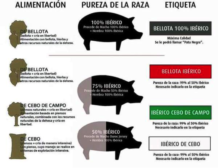 tipos de jamón mesa redacción 2 Moncloa