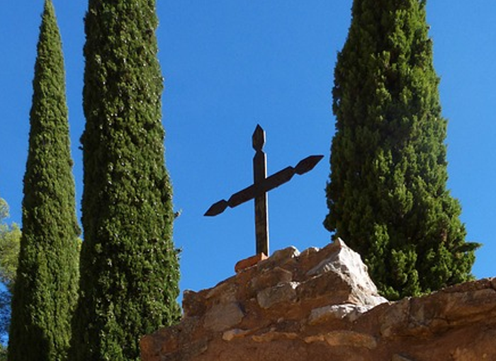 Las características del ciprés lo llevan a ser utilizado en los cementerios.