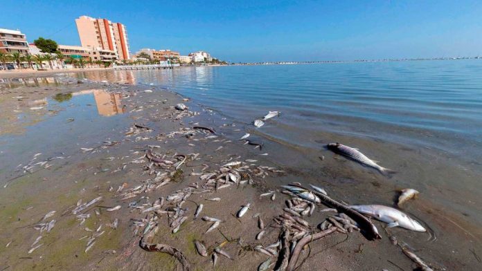 mar menor