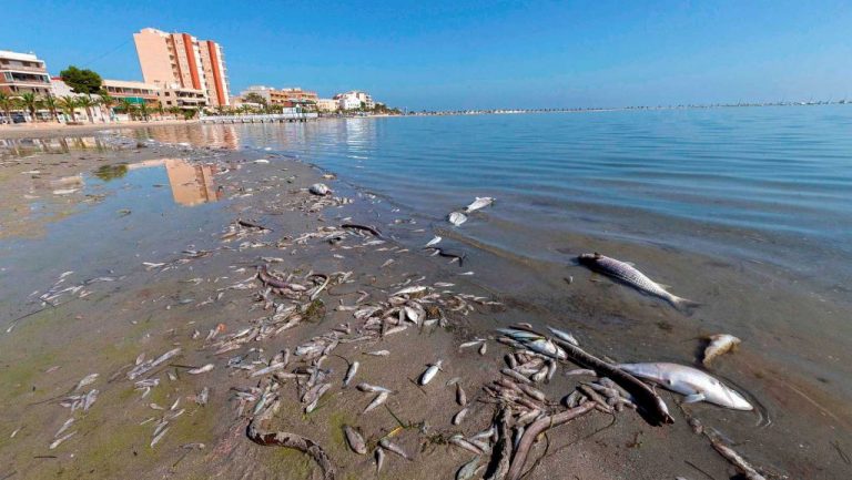 WWF se suma a la manifestación por el Mar Menor en Murcia