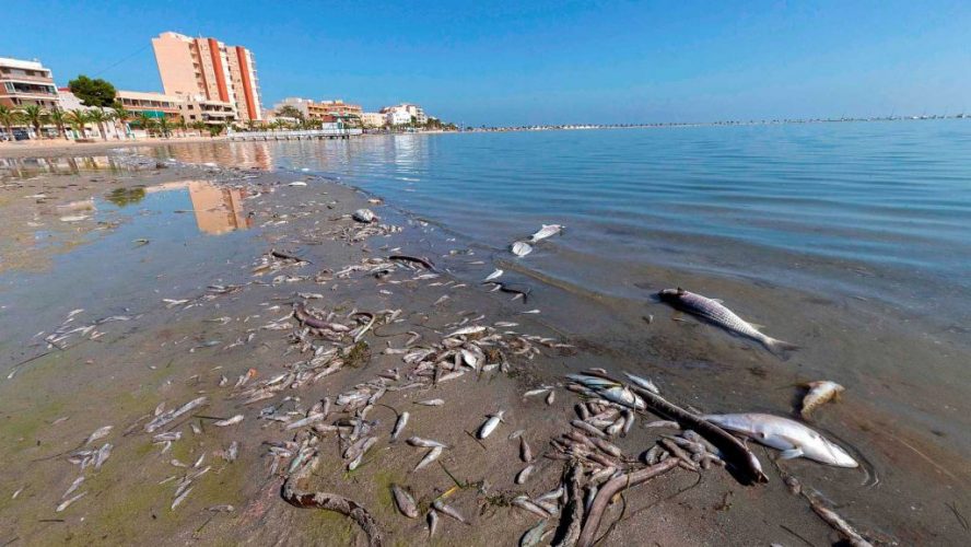 mar menor