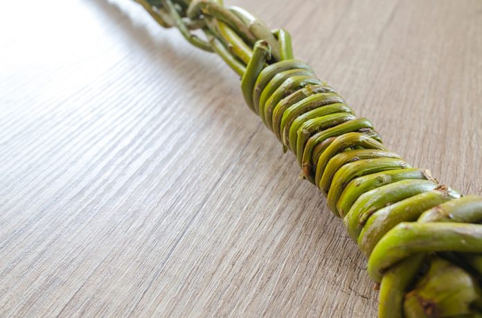 ramalazo