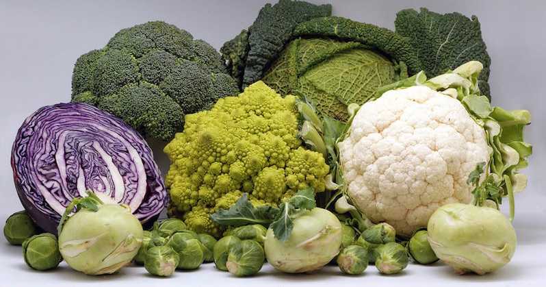 verduras cruciferas Moncloa