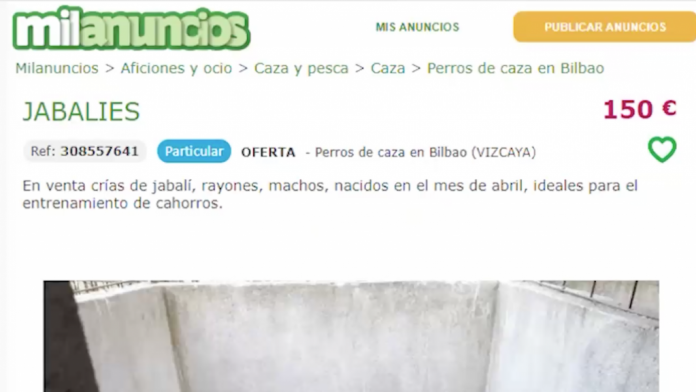 milanuncios