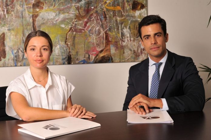ciberdelincuencia
