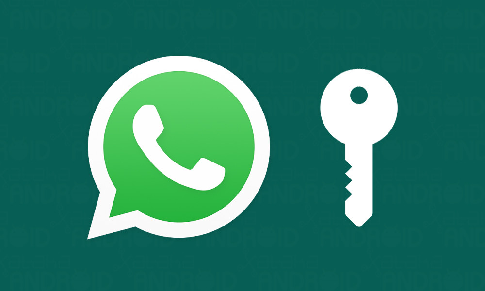 La privacidad de WhatsApp