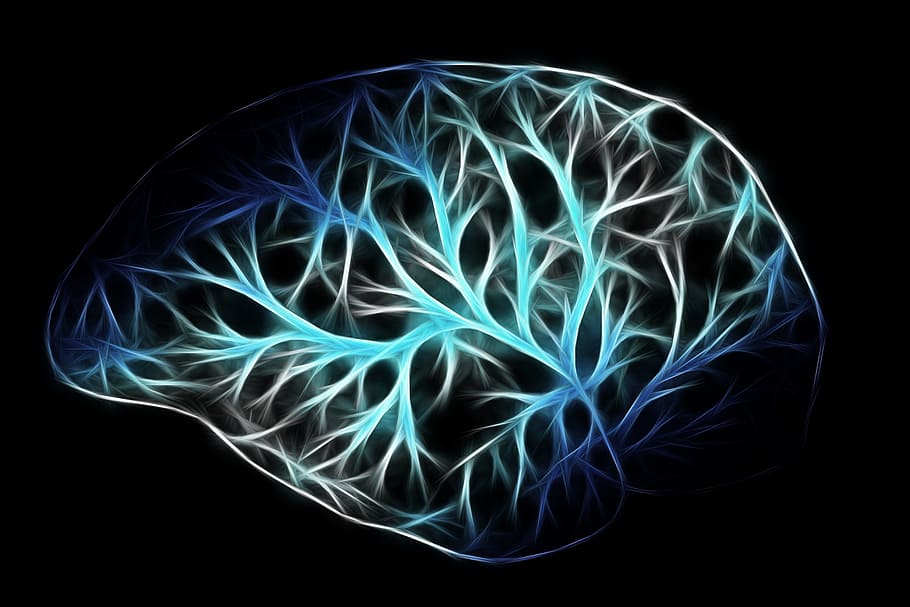 cerebro morir