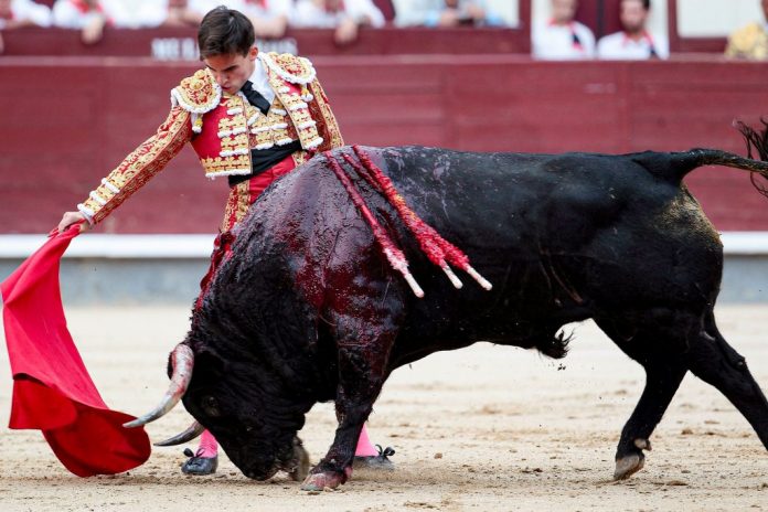 corridas de toros