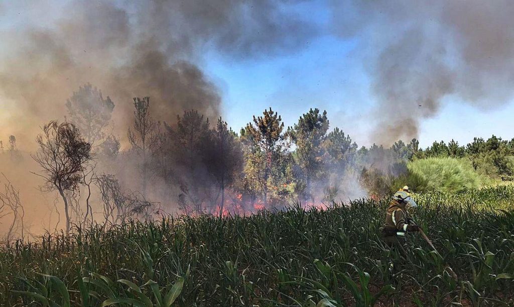 incendios