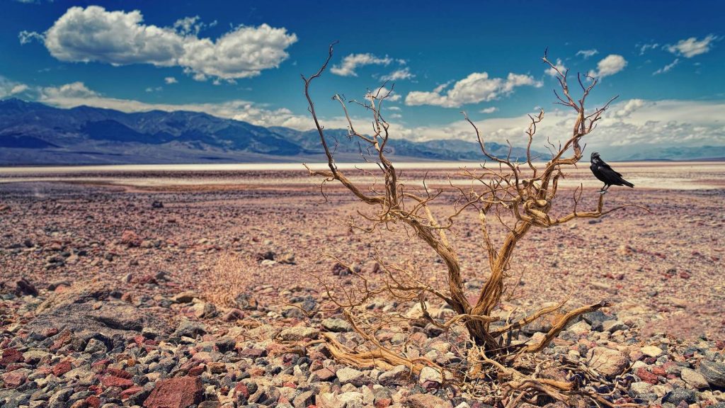 valle de la muerte