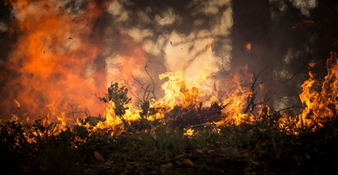 incendios