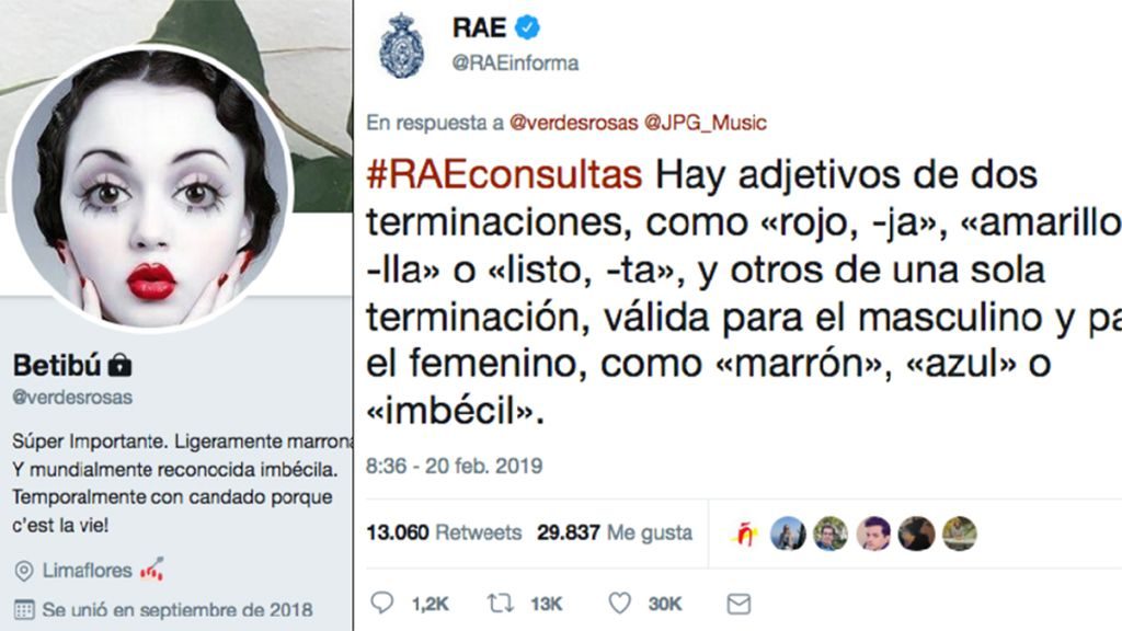 RAE y su community manager