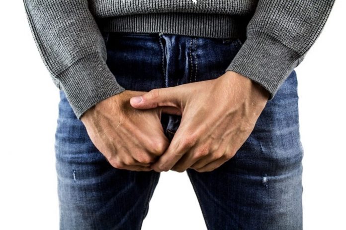 testiculos