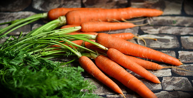 zanahorias bronceado