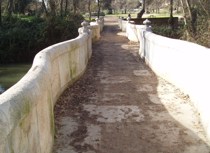 PUENTE DE LA CULEBRA, UN DESCONOCIDO EN MADRID