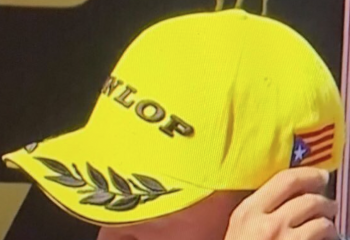 Dunlop