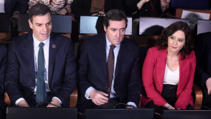 Pedro Sánchez Ayuso