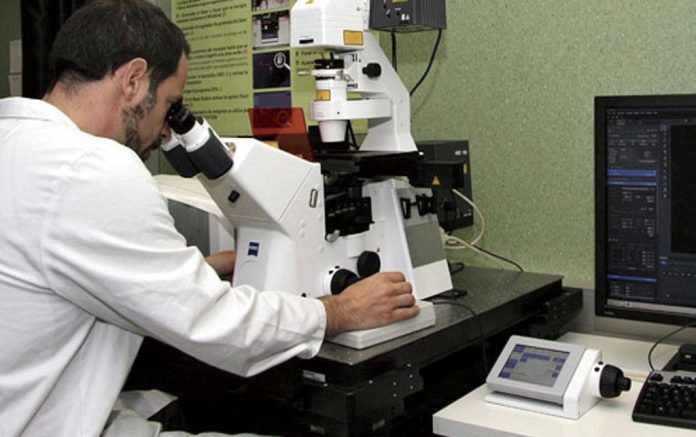 síntomas coronavirus